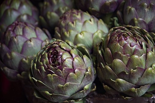 artichoke-3386681__340